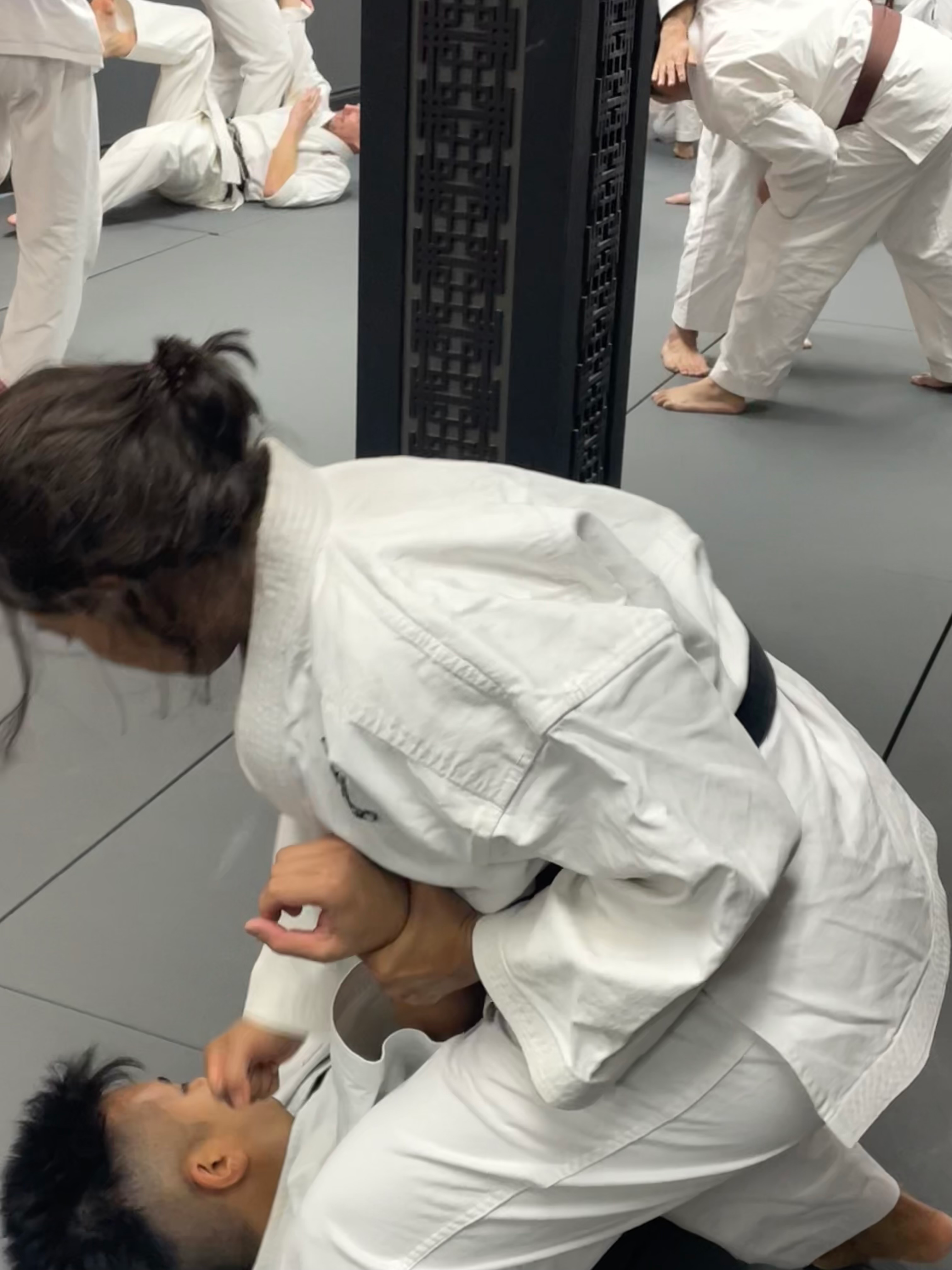 Hapkido Fundamentals